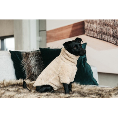 Pull Pour Chien Teddy Fleece Kentucky Beige