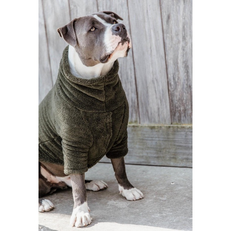 Trui Voor Hond Teddy Fleece Kentucky