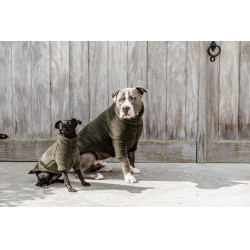 Trui Voor Hond Teddy Fleece Kentucky Donkergroen Trui Voor Hond Teddy Fleece Kentucky Donkergroen