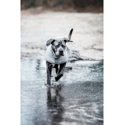 Waterdichte jas voor hond Kentucky Poederblauw