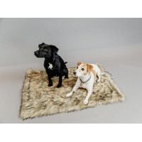 Hondenbed Fuzzy to go Kentucky Bruin
