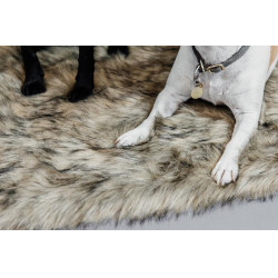 Hondenbed Fuzzy to go Kentucky Bruin