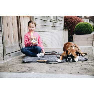 Hondenbed Travel In Style Kentucky Grijs Hondenbed Travel In Style Kentucky Grijs