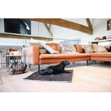 Hondenbed Travel In Style Kentucky Grijs Hondenbed Travel In Style Kentucky Grijs