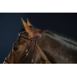 Hoofdstel Différence D Collectie van Dy'on Bruin Hoofdstel Différence D Collectie van Dy'on Bruin