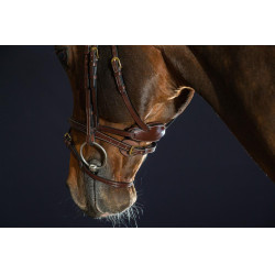 Hoofdstel Différence D Collectie van Dy'on Bruin Hoofdstel Différence D Collectie van Dy'on Bruin