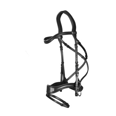 Hoofdstel D Motion New English Collection by Dy'on Zwart