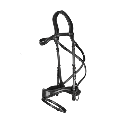 Hoofdstel D Motion New English Collection by Dy'on Zwart