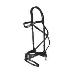 Hoofdstel D Motion New English Collection by Dy'on Zwart