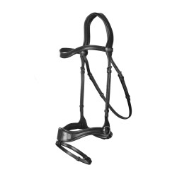 Hoofdstel D Motion New English Collection by Dy'on Zwart