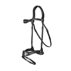 Hoofdstel D Motion New English Collection by Dy'on Zwart