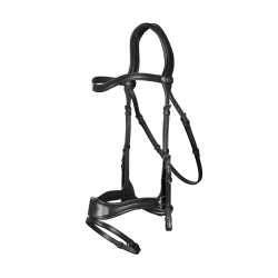 Hoofdstel D Motion New English Collection by Dy'on Zwart