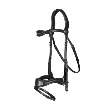 Hoofdstel D Motion New English Collection by Dy'on Hoofdstel D Motion New English Collection by Dy'on