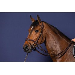 Hoofdstel D Motion D Collectie van Dy'on