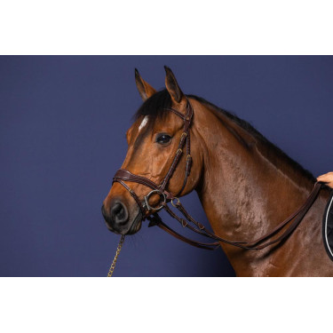 Hoofdstel D Motion D Collectie van Dy'on Hoofdstel D Motion D Collectie van Dy'on