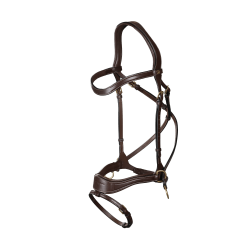 Hoofdstel D Motion D Collectie van Dy'on Bruin