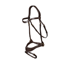 Hoofdstel D Motion D Collectie van Dy'on Bruin