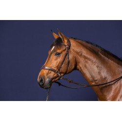 Hoofdstel D Motion D Collectie van Dy'on Bruin