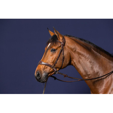 Hoofdstel D Motion D Collectie van Dy'on Hoofdstel D Motion D Collectie van Dy'on