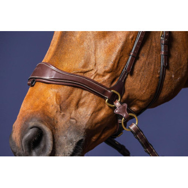 Hoofdstel D Motion D Collectie van Dy'on Hoofdstel D Motion D Collectie van Dy'on