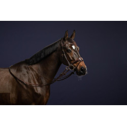 Hoofdstel D Motion D Collectie van Dy'on Bruin