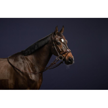 Hoofdstel D Motion D Collectie van Dy'on Hoofdstel D Motion D Collectie van Dy'on