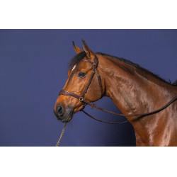 Hoofdstel D Motion D Collectie van Dy'on Bruin