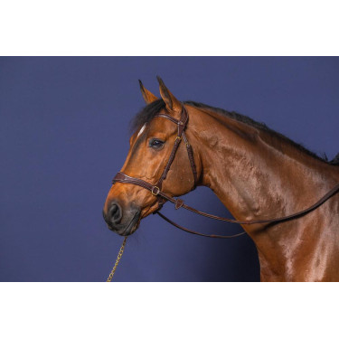 Hoofdstel D Motion D Collectie van Dy'on Hoofdstel D Motion D Collectie van Dy'on