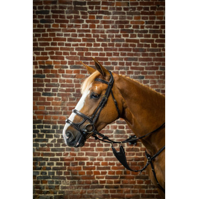 Bridon Dubbele Neusriem D Collection by Dy'on Zwart