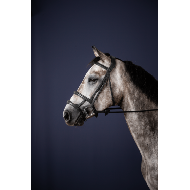 Hoofdstel Dubbele Neusriem New English Collection by Dy'on Hoofdstel Dubbele Neusriem New English Collection by Dy'on
