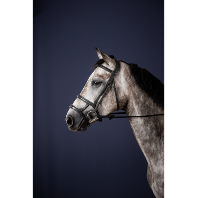 Hoofdstel Dubbele Neusriem New English Collection by Dy'on Zwart