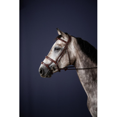 Hoofdstel Dubbele Neusriem New English Collection by Dy'on