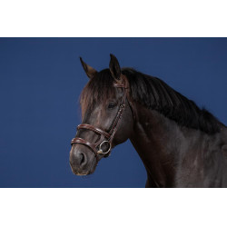 Bridon Dubbele Neusriem US Collectie by Dy'on Bruin Bridon Dubbele Neusriem US Collectie by Dy'on Bruin