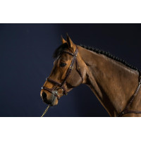 Bridon Dubbele Neusriem D Collection by Dy'on Zwart