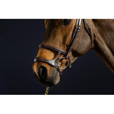 Bridon Dubbele Neusriem D Collection by Dy'on Bruin