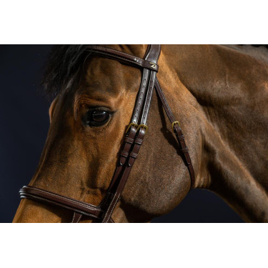 Bridon Dubbele Neusriem D Collection by Dy'on Bruin