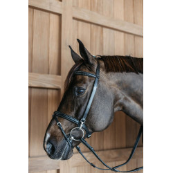 Trainingshoofdstel Working By Dy'on