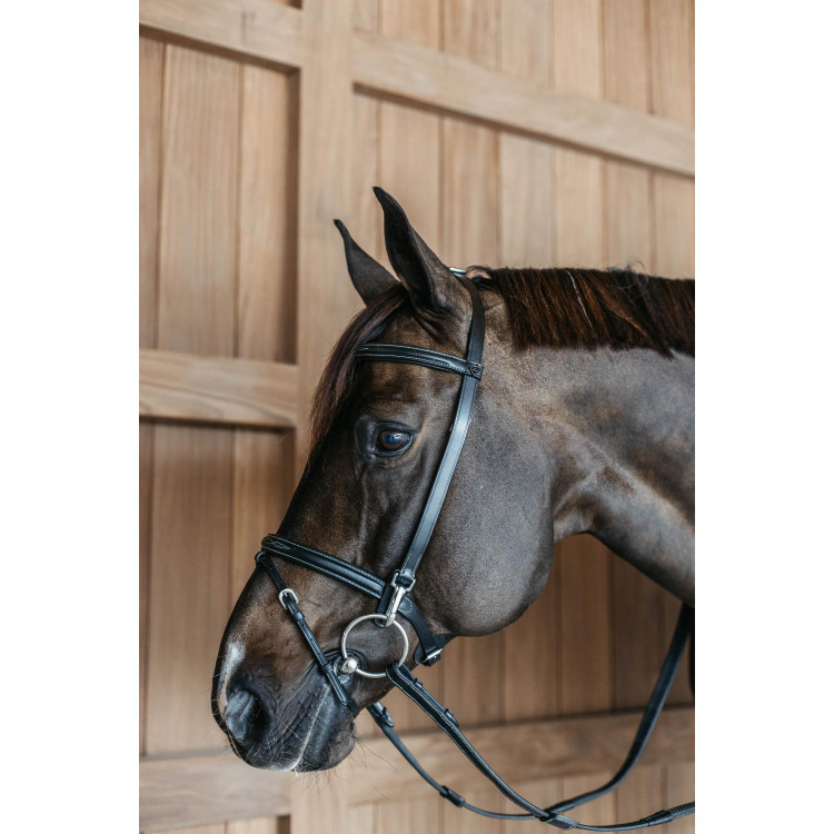 Trainingshoofdstel Working By Dy'on
