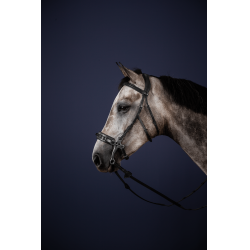 Bridon Hackamore New English Collection van Dy'on Zwart