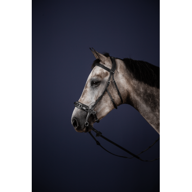 Bridon Hackamore New English Collection van Dy'on Zwart