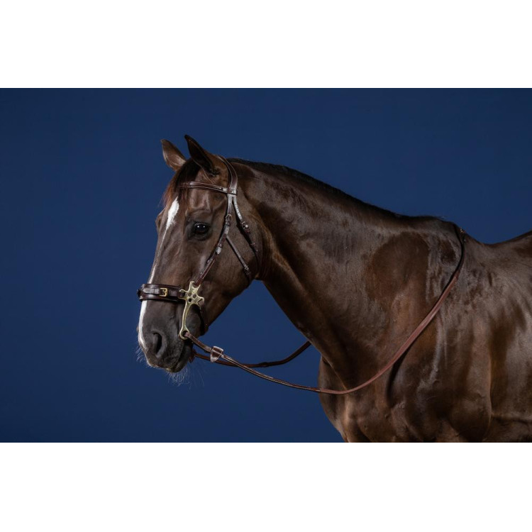 Bridon Hackamore US Collectie van Dy'on Bridon Hackamore US Collectie van Dy'on