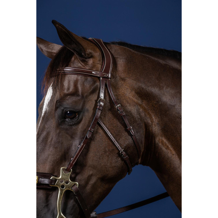 Bridon Hackamore US Collectie van Dy'on Bridon Hackamore US Collectie van Dy'on