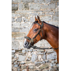 Hackamore Hoofdstel D Collection by Dy'on Zwart Hackamore Hoofdstel D Collection by Dy'on Zwart