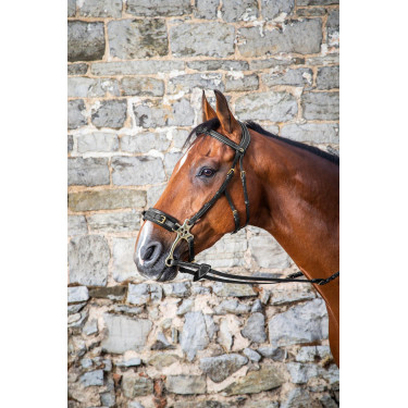 Hackamore Hoofdstel D Collection by Dy'on Zwart Hackamore Hoofdstel D Collection by Dy'on Zwart