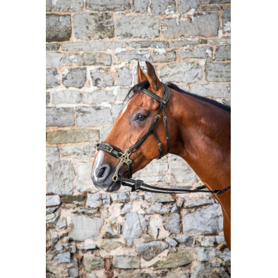 Hackamore Hoofdstel D Collection by Dy'on Zwart