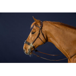 Hackamore Hoofdstel D Collection by Dy'on Hackamore Hoofdstel D Collection by Dy'on