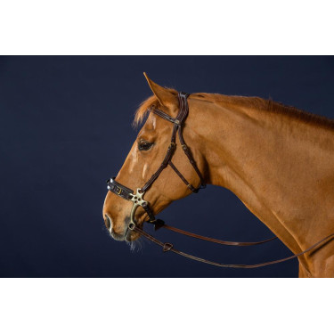 Hackamore Hoofdstel D Collection by Dy'on Hackamore Hoofdstel D Collection by Dy'on