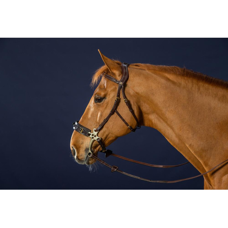 Hackamore Hoofdstel D Collection by Dy'on Hackamore Hoofdstel D Collection by Dy'on
