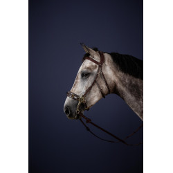 Bridon Hackamore New English Collection van Dy'on Bridon Hackamore New English Collection van Dy'on