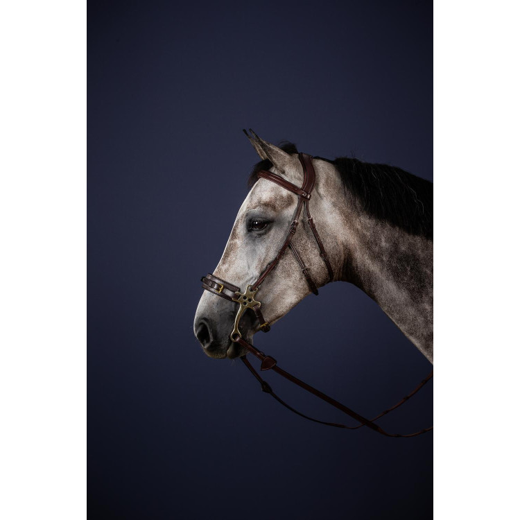 Bridon Hackamore New English Collection van Dy'on Bridon Hackamore New English Collection van Dy'on